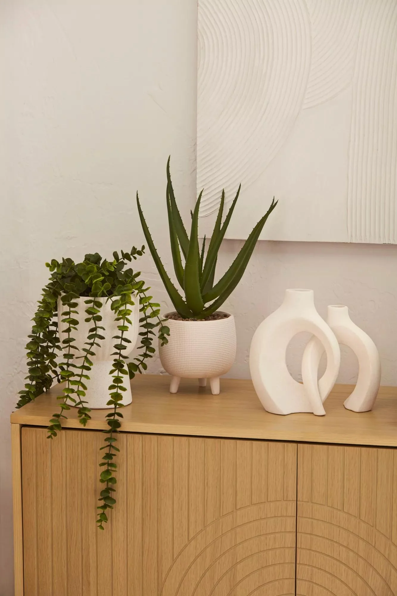 Waterfall Eucalyptus in White Hourglass Pot - Image 5