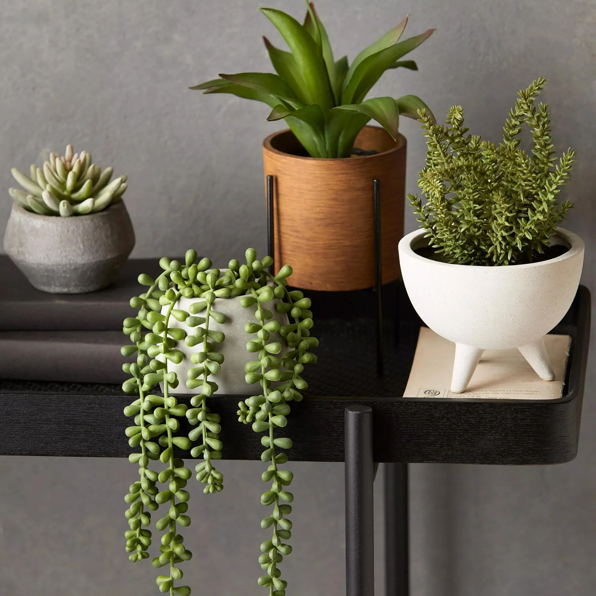 Waterfall Plant in Cement Pot - Image 2