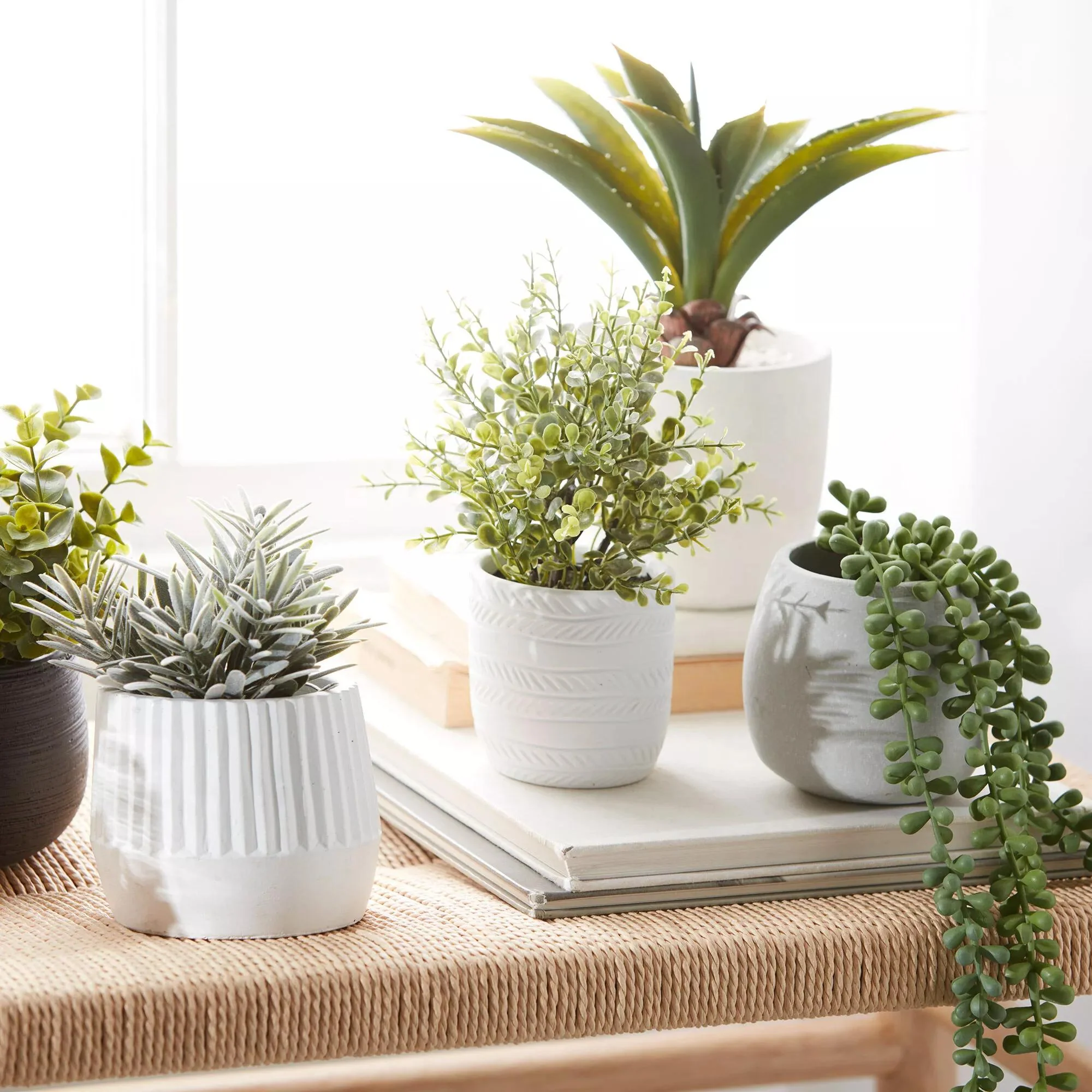 Waterfall Plant in Cement Pot - Image 5