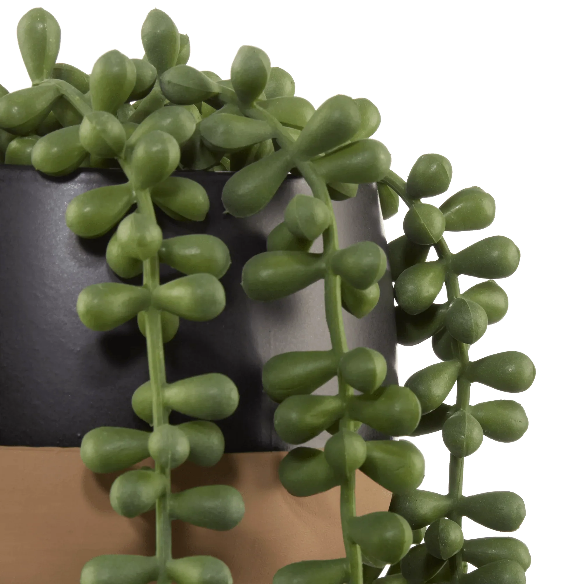 Waterfall Plant in Ceramic Pot - Image 2