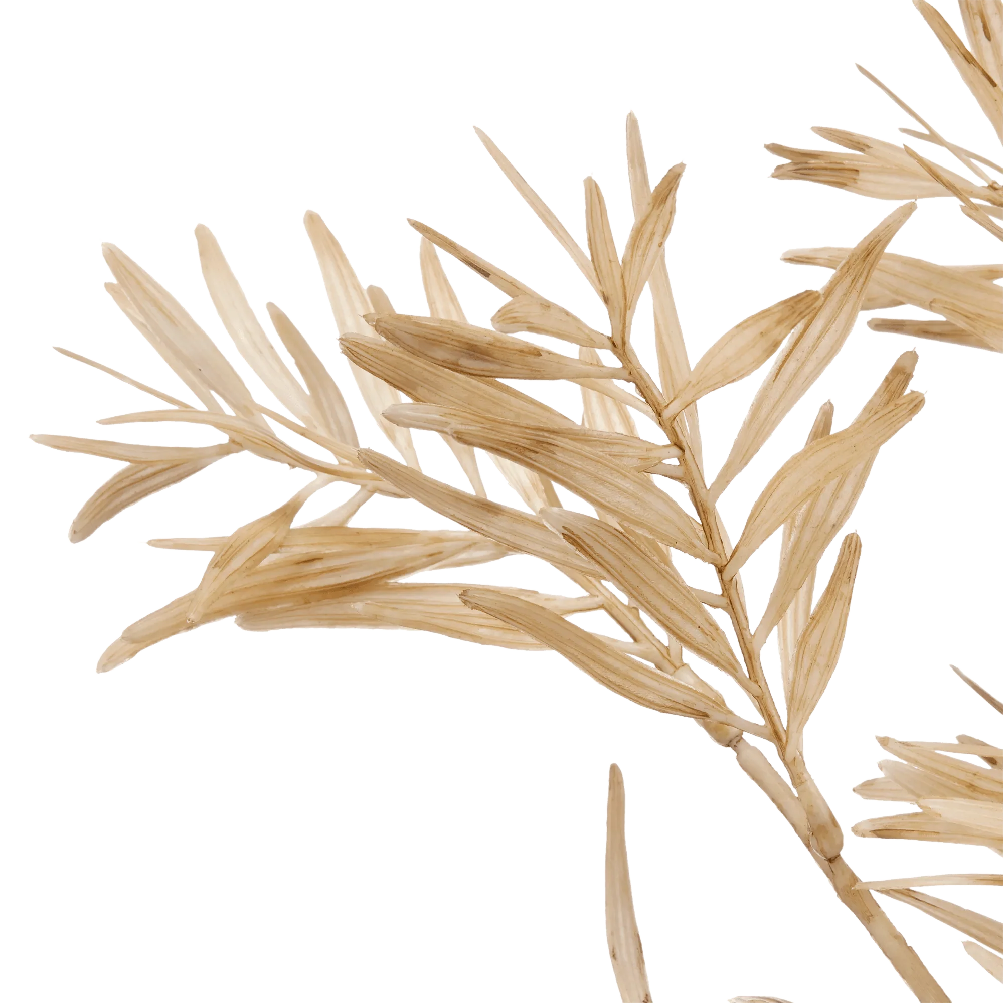 Beige Wild Leaves Stem - Image 2